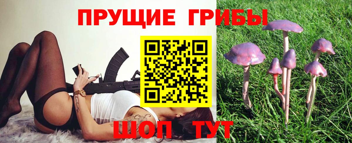 Галлюциногенные грибы Psilocybine cubensis  Галлюциногенные грибы Psilocybe  Вход с VPN  Архангельск 
