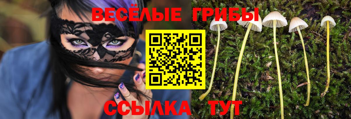 Галлюциногенные грибы GOLDEN TEACHER Архангельск